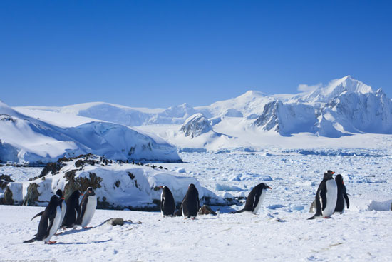 Familierondreis Antarctica