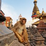 Indrukwekkende familierondreis door Nepal