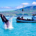 IJsland ontdekken tijdens unieke familierondreis