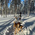 Finland met tieners in de winter | Onze ervaring!