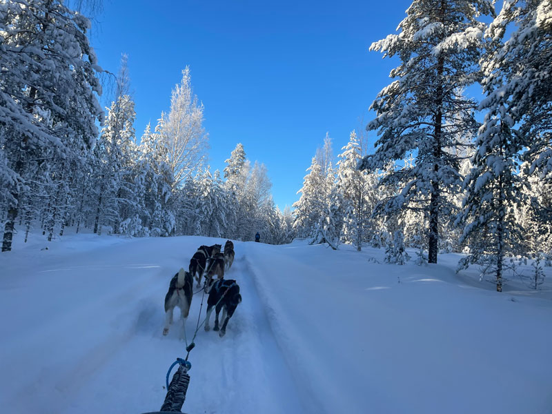 Noord-Karelia, het Lakeland van Finland