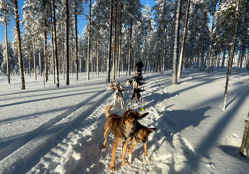 Finland met tieners in de winter ervaring