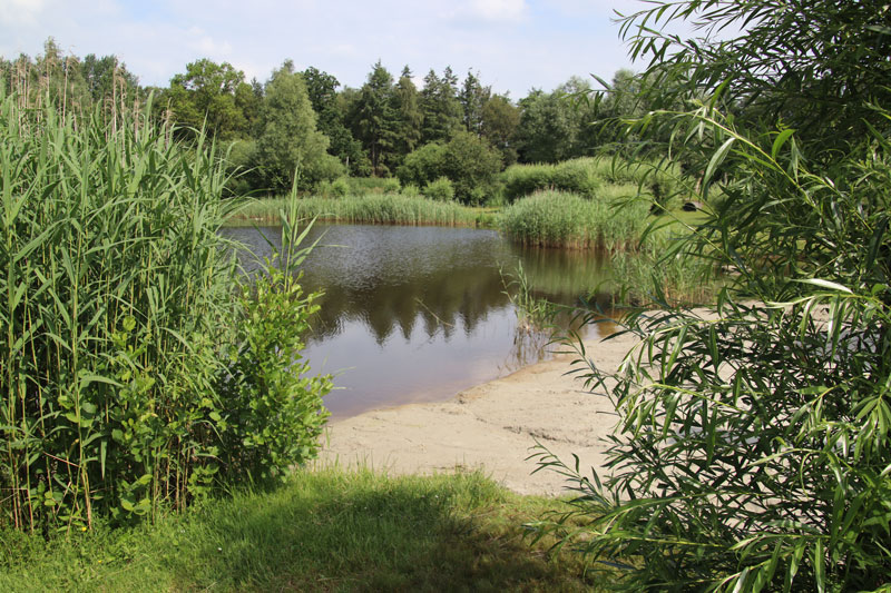 De omgeving van Landal Klein Oisterwijk