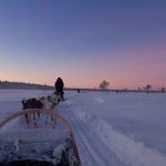 Sprookjesachtige rondreis door Fins Lapland