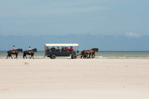 Leuk vakantieresort in hartje Terschelling Vakantie Terschelling met tieners