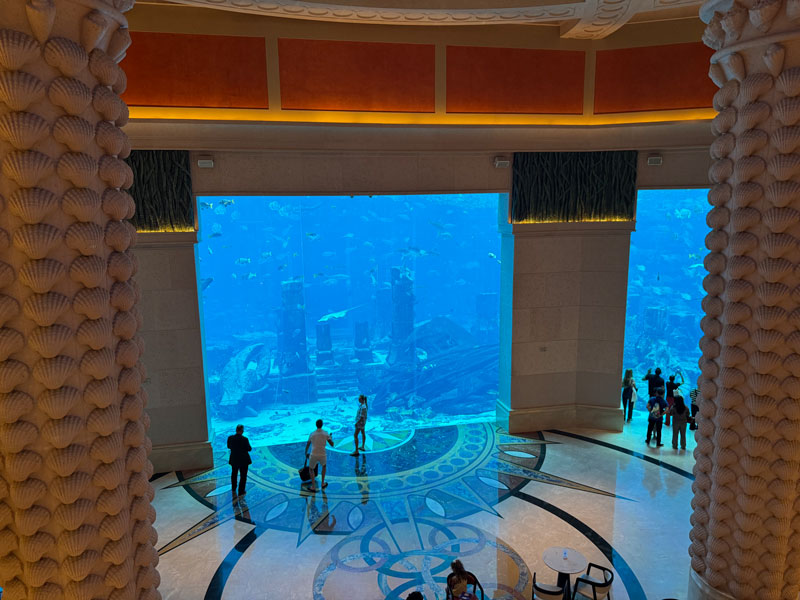 Aquarium Atlantis The Palm met tieners ontdekken