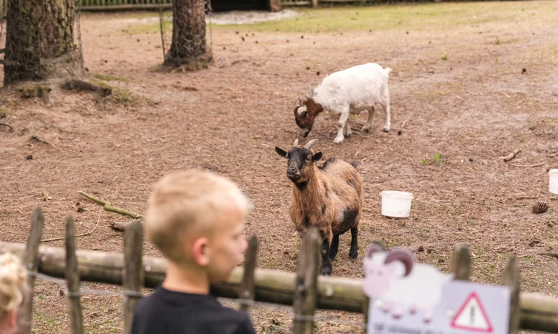 Boerderij Camping De Paal met kinderen