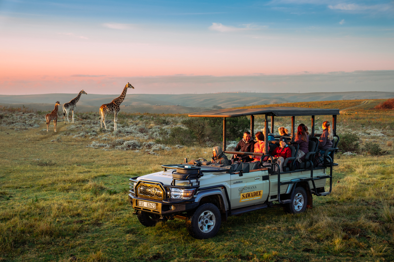 Op safari met het gezin in Zuid-Afrika op zoek naar de Big Five