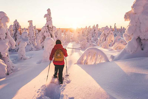 Lapland mooiste vakantiebestemmingen 2024