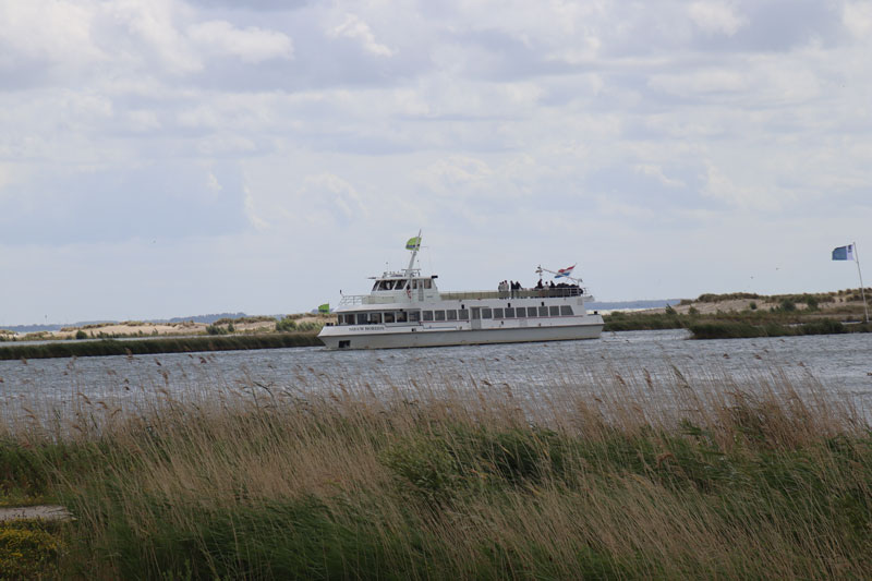Marker Wadden met tieners