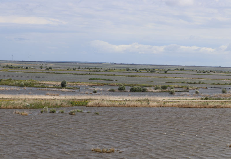 Marker Wadden met tieners: onze ervaring!