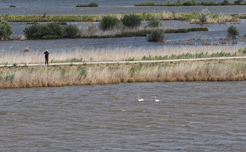 Marker Wadden met tieners
