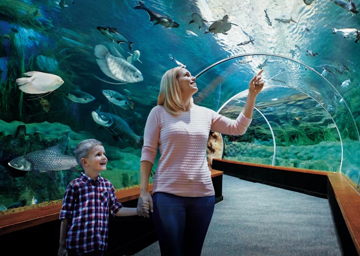 Poema del Mar Aquarium