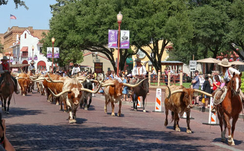 Rondreizen in Texas, alles wat je moet weten! rondreis-Texas-met-tieners8