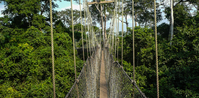 rondreis-maleisie-brug