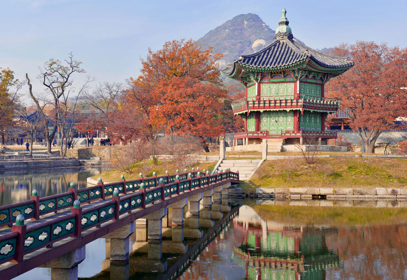 Vakantie voor tieners naar Zuid-Korea