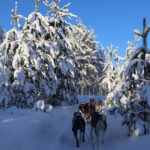 Beleef fantastisch winter ervaring in Noord-Karelia: het Lakeland van Finland!