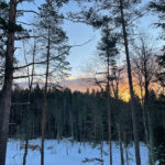 Onze winter ervaring in Nuuksio | Kom tot rust in de natuur van Finland