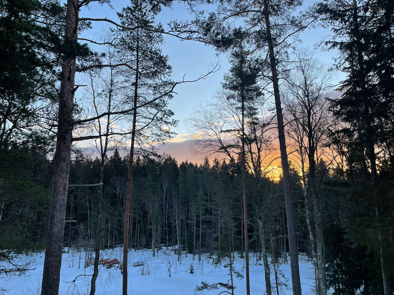Onze winter ervaring in Nuuksio met tieners in Finland